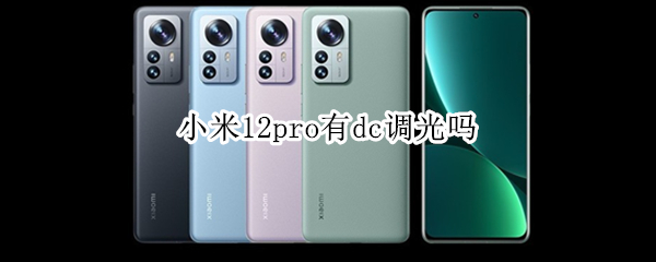 小米12pro有dc调光吗（小米11 pro dc调光）