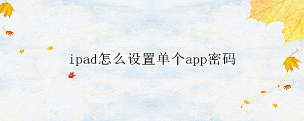 ipad怎么设置单个app密码（ipad如何设置单个app密码）