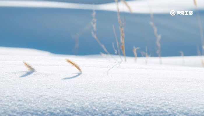 雪景句子唯美简短 赞美雪的简短句子