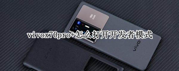 vivox70pro+怎么打开开发者模式（vivoy70s怎么进入开发者模式）