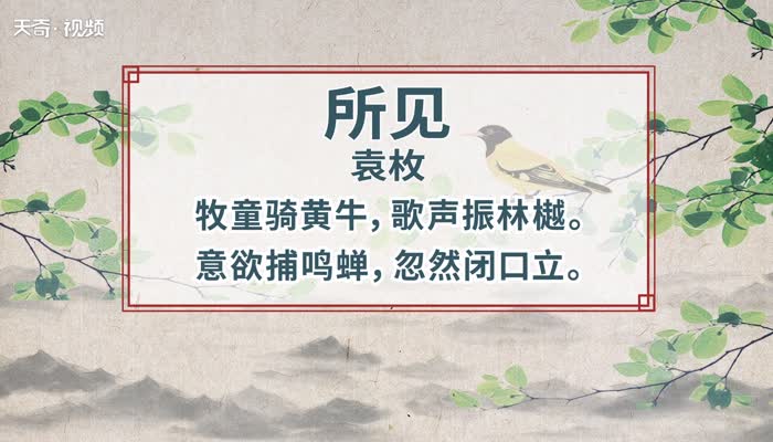 所见原文 所见全文