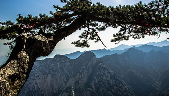 西岳指的是什么山 西岳指的是什么地方