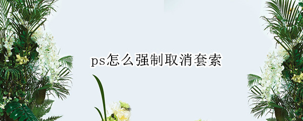 ps怎么强制取消套索 ps 如何取消套索