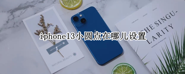 iphone13小圆点在哪儿设置 iphone13.6小圆点怎么调出来