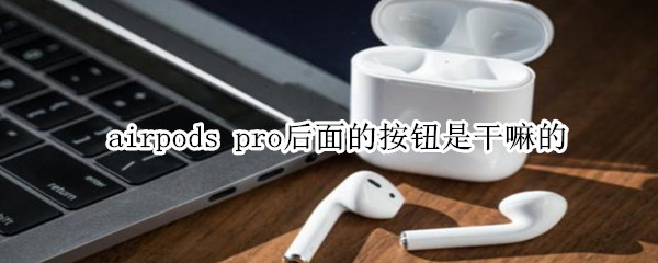 airpods pro后面的按钮是干嘛的