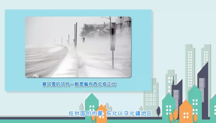 什么是暴风雪 暴风雪的定义