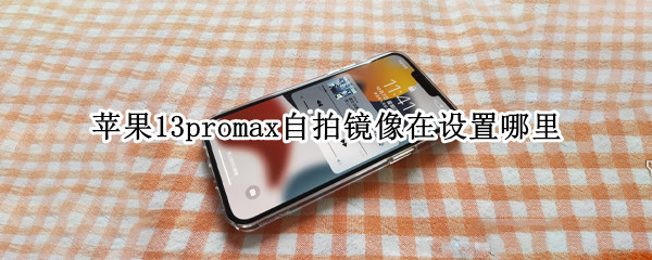 苹果13promax自拍镜像在设置哪里（苹果12promax相机怎么设置镜像）