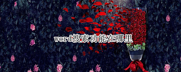 word搜索功能在哪里（word搜索功能在哪里设置）