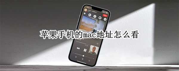 苹果手机的mac地址怎么看（怎样看苹果手机mac地址）