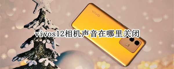 vivos12相机声音在哪里关闭（vivo相机声音怎么关闭）