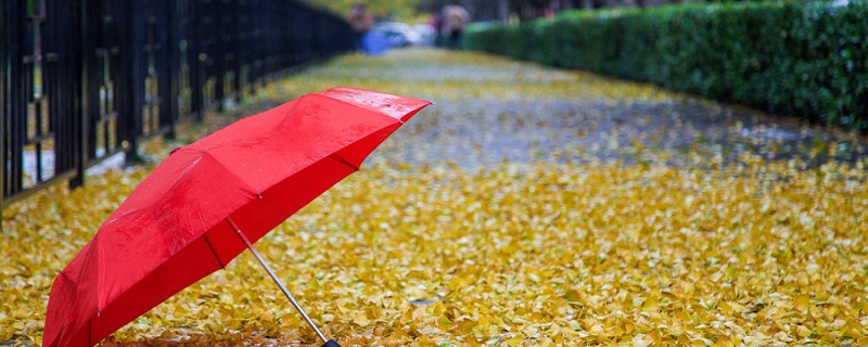 一场秋雨的拼音 一场秋雨的拼音怎么写