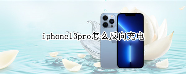 iphone13pro怎么反向充电（iPhone13怎么反向充电）