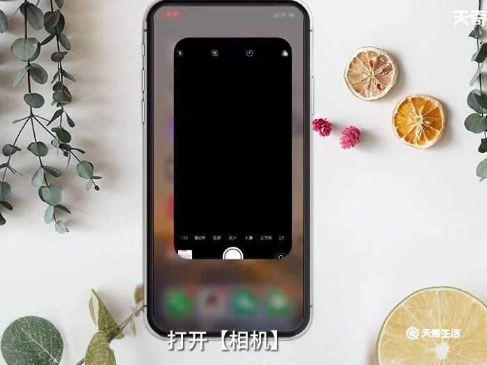 苹果手机拍照怎么美颜 iphone怎么美颜拍照