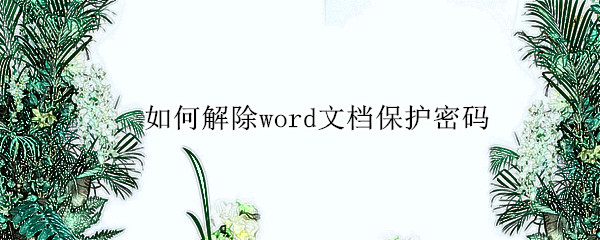 如何解除word文档保护密码 如何解除word文档保护密码限制编辑打不开