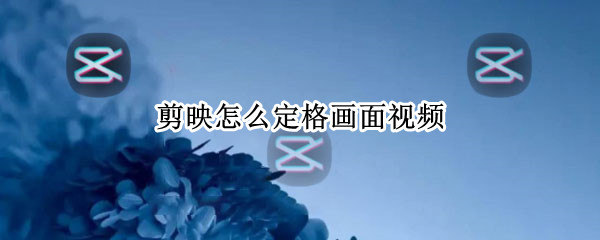 剪映怎么定格画面视频 剪映怎么定格画面视频电脑