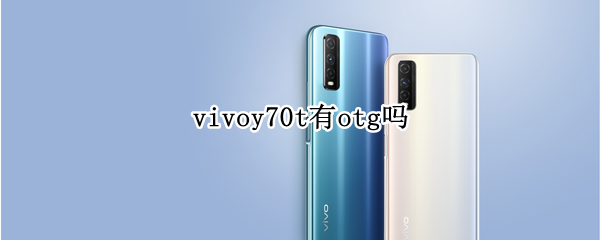 vivoy70t有otg吗（vivoy73是否支持OTG）