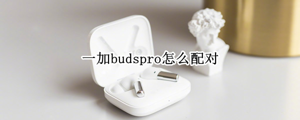 一加budspro怎么配对（budspro 配对）