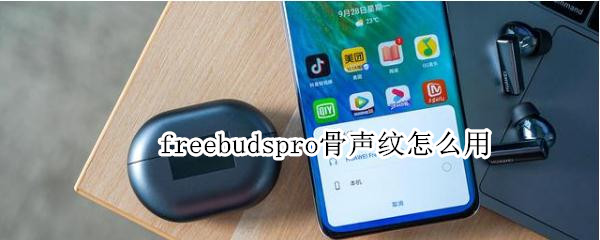 freebudspro骨声纹怎么用 freebudspro骨声纹用处大吗