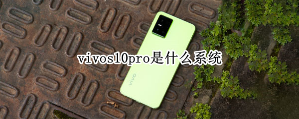 vivos10pro是什么系统