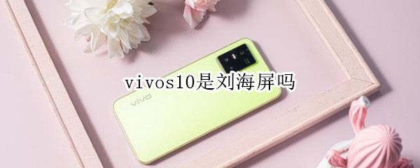 vivos10是刘海屏吗（vivos9是刘海屏吗）