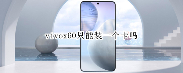 vivox60只能装一个卡吗 vivox60pro只能装一个卡吗