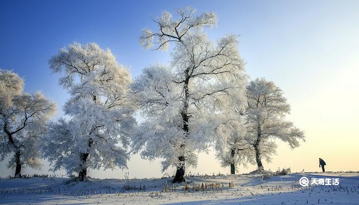 什么是暴风雪 暴风雪是怎么形成的