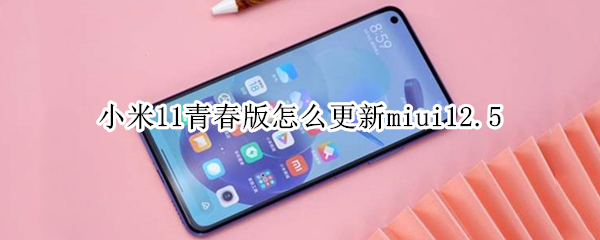 小米11青春版怎么更新miui12.5（小米11青春版怎么更新系统）