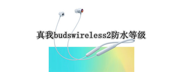 真我budswireless2防水等级