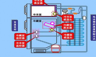 冰箱上电后怎么工作 冰箱是插上电了是不是就可以运转了?