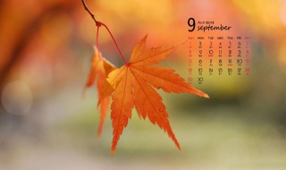 9月份节日 2022年9月份节日