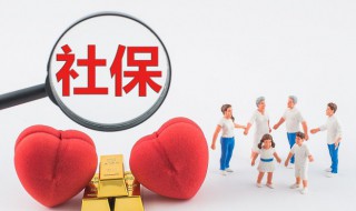 怎么查询社保编号（怎么查询社保编号查询）