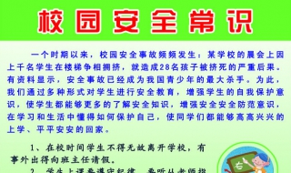 如何加强校园安全（如何加强校园安全建设）