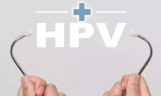 HPV是什么（hpv是什么病毒）