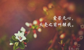 吃醋的句子说说心情（爱情伤感句子句句心痛）