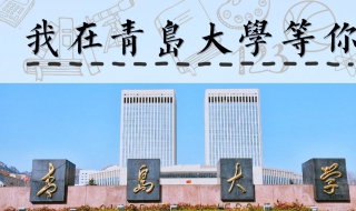 怎样了解青岛大学的师资队伍（青岛大学教师队伍）