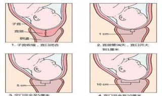 分娩的第一产程是什么（分娩的第一产程是什么时间）