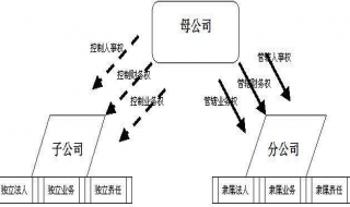 分公司和子公司有什么区别，承担债务的责任方式不同