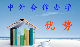 2017中外合作办学学历认证办理 2017中外合作办学学历认证办理结果