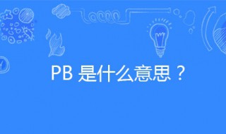 pb是什么意思饭圈 dvd是什么意思?