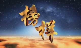 榜样作文（榜样作文800字）