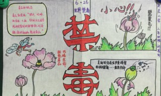 小学禁毒手抄报内容（小学禁毒手抄报内容40字）