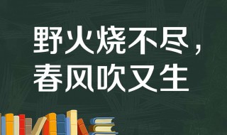 野火烧不尽春风吹又生是哪首古诗（野火烧不尽春风吹又生是哪首古诗的意思）