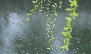 细雨绵绵的唯美句子 细雨绵绵的唯美句子朋友圈