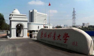 东北林业大学食宿条件 东北林业大学宿舍条件2020