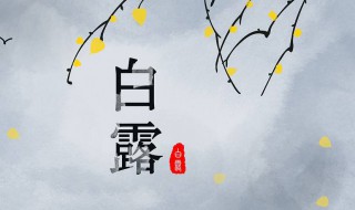 关于白露节气的诗 关于白露节气的诗句汇总