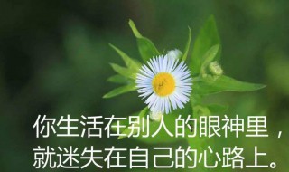 感悟人生句句精美 感悟人生的句子 经典