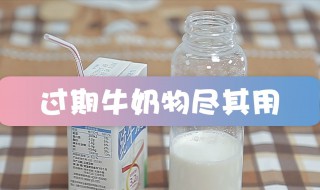 牛奶过期了如何利用（牛奶过期了如何利用 馒头）