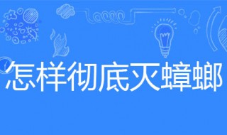 怎样彻底灭蟑螂 怎样才能彻底消灭蟑螂?