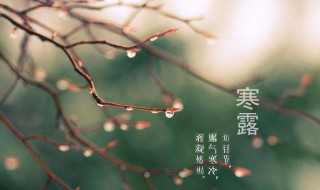 寒露节气短信（寒露节气短信祝福语）