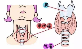 甲状腺4a危险吗 甲状腺4a危险吗8×3mm大小